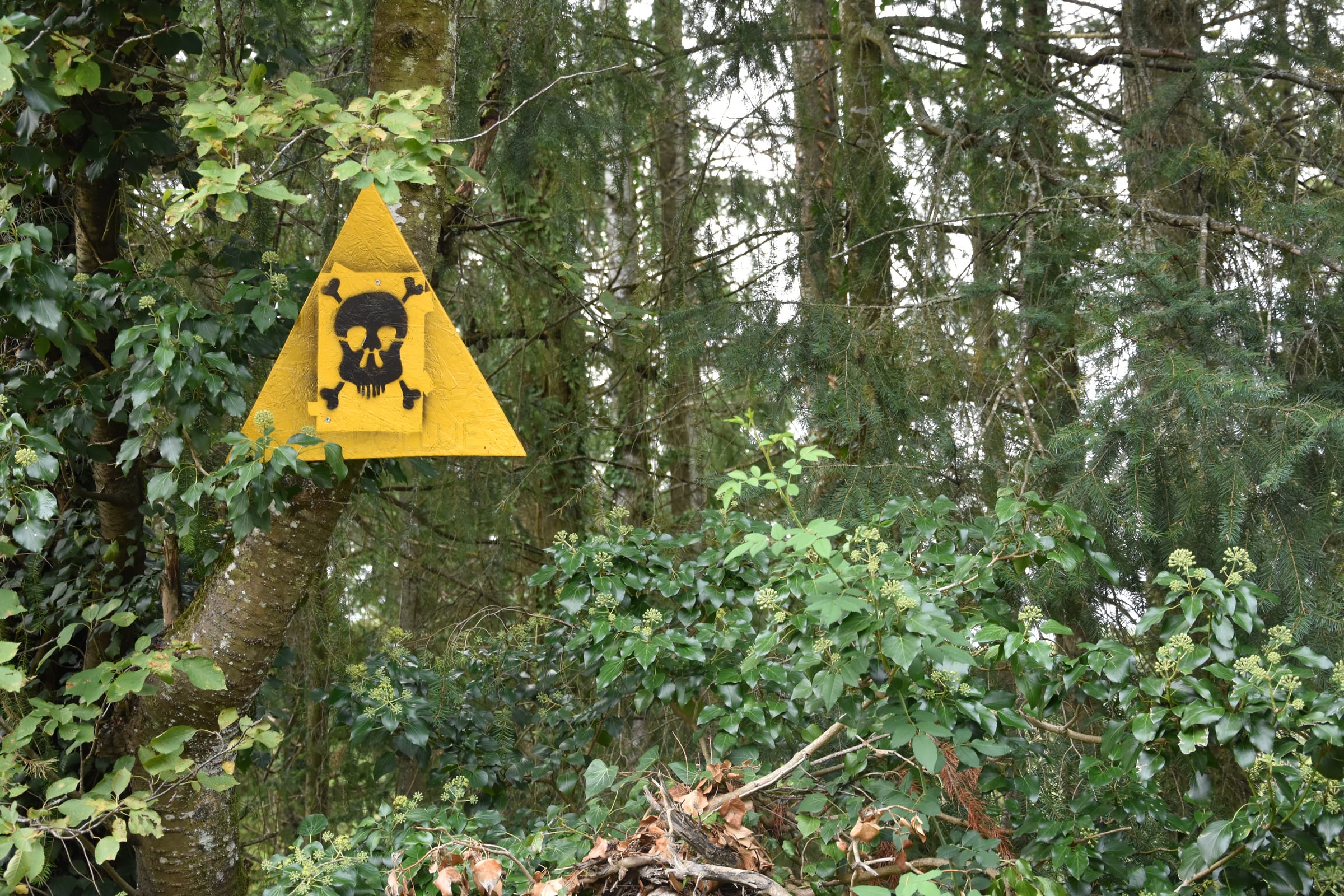 Travaux et séquences pédagogiques 25